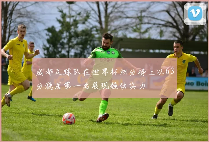 成都足球队在世界杯积分榜上以63分稳居第一名展现强劲实力