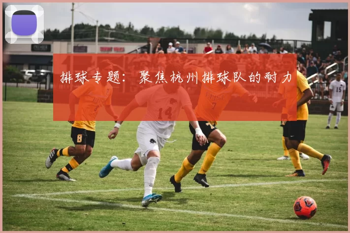 排球专题：聚焦杭州排球队的耐力