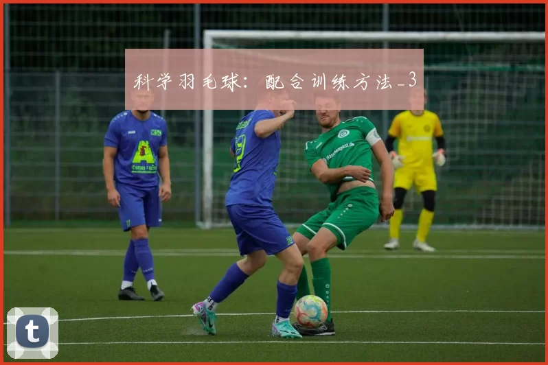 科学羽毛球：配合训练方法_3