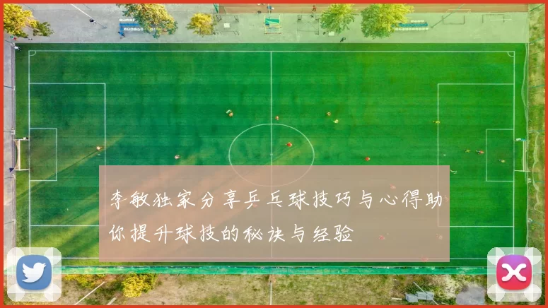 李敏独家分享乒乓球技巧与心得助你提升球技的秘诀与经验