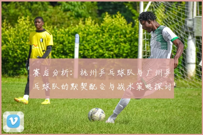 赛后分析：杭州乒乓球队与广州乒乓球队的默契配合与战术策略探讨